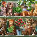Ravensburger Cats on the Shelf 500 piece Jigsaw Puzzle - 14824 additional 2