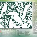 Ravensburger Matt Sewell's Amazing Birds 1000 piece Jigsaw Puzzle - 16769 additional 3