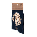 Wrendale Designs Socks - Dog Hopeful additional 1