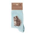 Wrendale Designs - Hedgehugs Hedgehog Socks additional 1