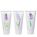 Heathcote & Ivory - Lavender Fields Hand Cream Collection 3 x 30ml additional 2