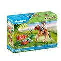 Playmobil - Farm Collectible Connemara Pony - 70516 additional 5
