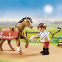 Playmobil - Farm Collectible Connemara Pony - 70516 additional 4