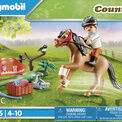 Playmobil - Farm Collectible Connemara Pony - 70516 additional 1