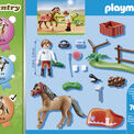 Playmobil - Farm Collectible Connemara Pony - 70516 additional 3