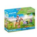 Playmobil - Farm Collectible Icelandic Pony - 70514 additional 5