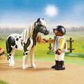 Playmobil - Farm Collectible Lewitzer Pony - 70515 additional 4