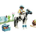 Playmobil - Farm Collectible Lewitzer Pony - 70515 additional 2