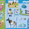Playmobil - Farm Collectible Lewitzer Pony - 70515 additional 3