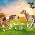 Playmobil - Icelandic Ponies with Foals - 71000 additional 2