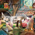 Gibsons - Snoozing in the Shed 1000 Piece Jigsaw Puzzle additional 2