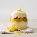 EasiYo Greek Style Lemon Yogurt additional 2