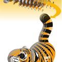 EUGY Tiger additional 4