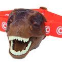 T Rex Head Torch additional 2