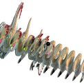 EUGY Raptor additional 2