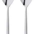 Stellar Rochester Set of 2 Serving Spoons additional 1