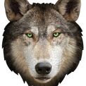 I Am Wolf 550 Piece Head-Shaped Jigsaw Puzzle additional 2