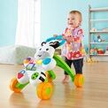 Fisher Price Learn With Me Zebra Walker additional 3