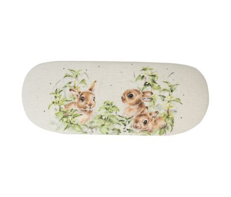 Glasses Cases