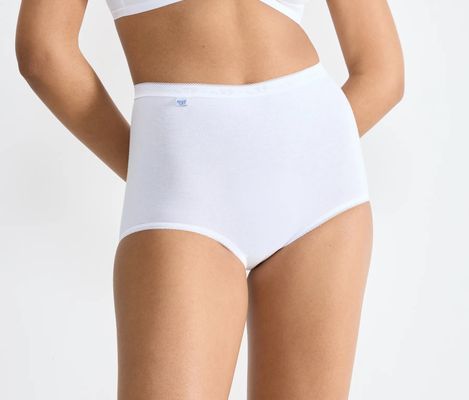 Briefs