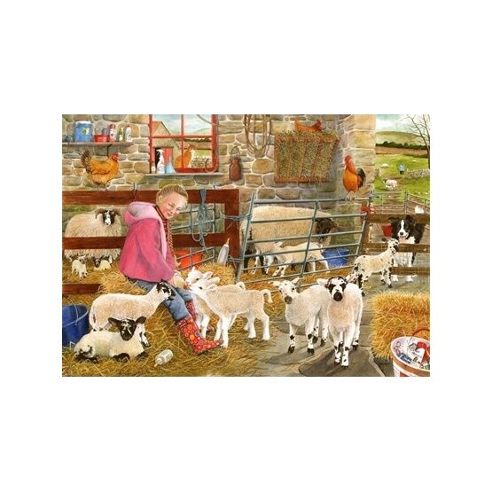 The Drummuir Collection - BIG500 Piece - Mary's Little Lambs