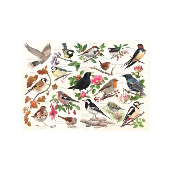 The Merridale Collection - 1000 Piece - Birds In My Garden