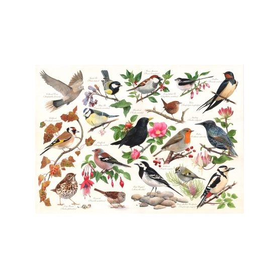 House of Puzzles - Birds In My Garden 1000 Piece Jigsaw Puzzle