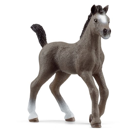 Schleich - Cheval de Selle Francais Foal - 13957