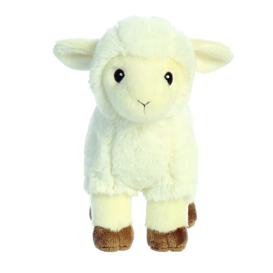 Aurora - Eco Nation Lamb