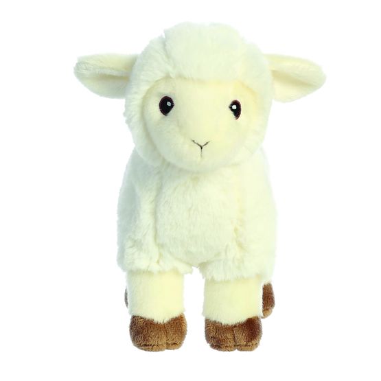 Aurora - Eco Nation Lamb
