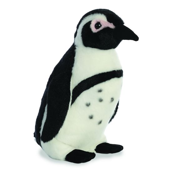 Aurora - Destination Nation African Penguin