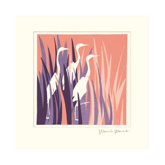 Among The Reeds