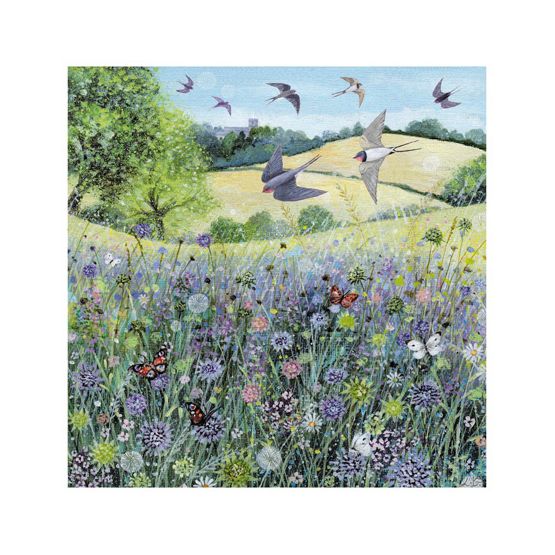 Butterflies And Wildflowers