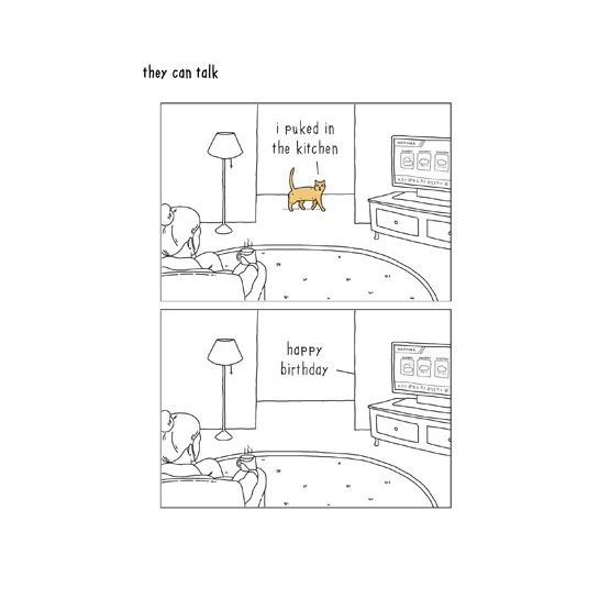 Cat Walking Past Lounge