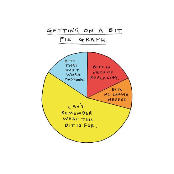 Getting On A Bit Pie Chart