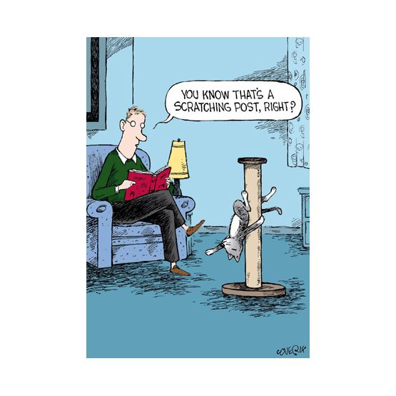 Scratching Post