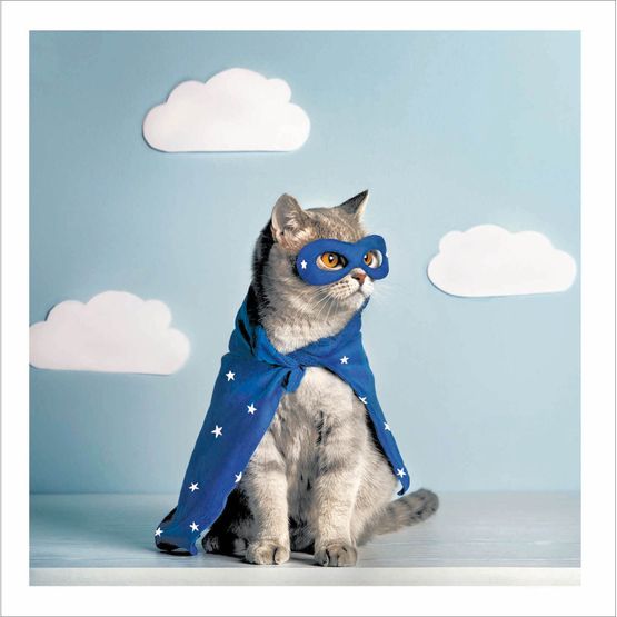 Super Cat