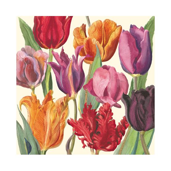 Tulips
