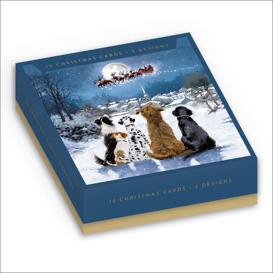 Christmas Magic Box of 10 Christmas Cards