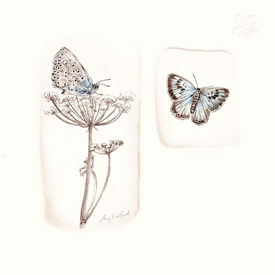 Large Blue Butterflies