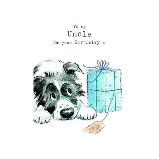 Border Colie With Blue Parcel