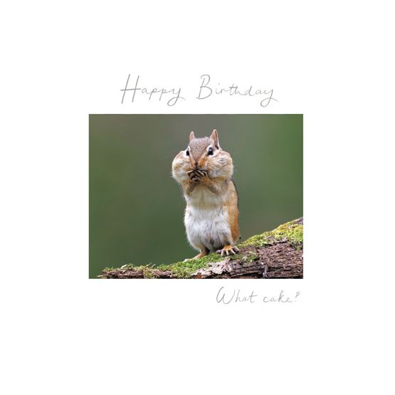 Chipmunk With Cheeks Full Of Food