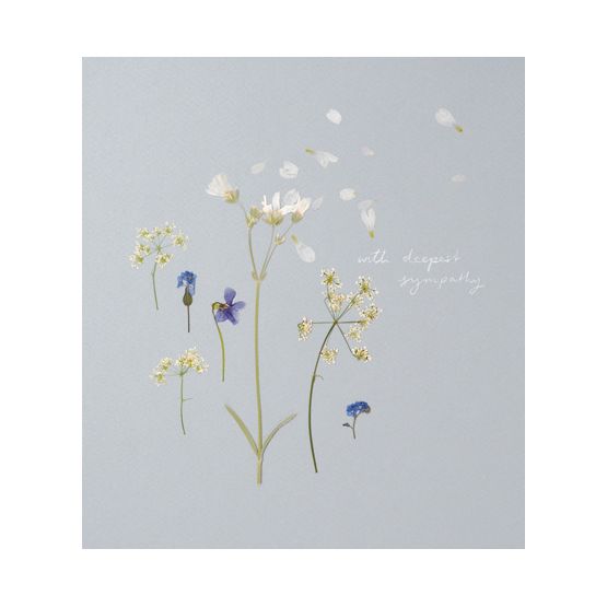 Cow Parsley And Violets