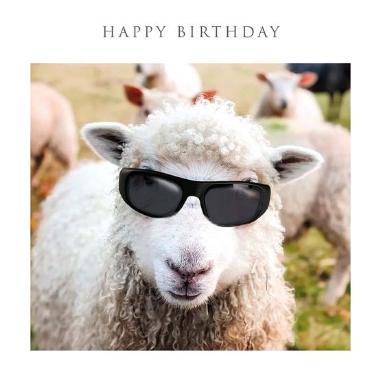 Sheep In Shades