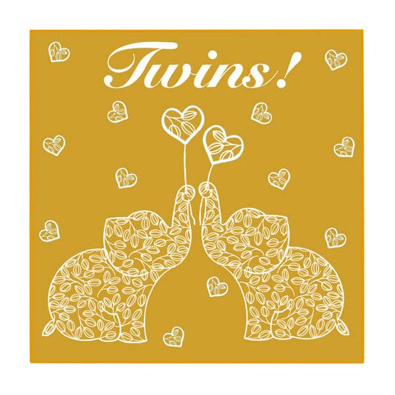 Twins - Summer Breeze