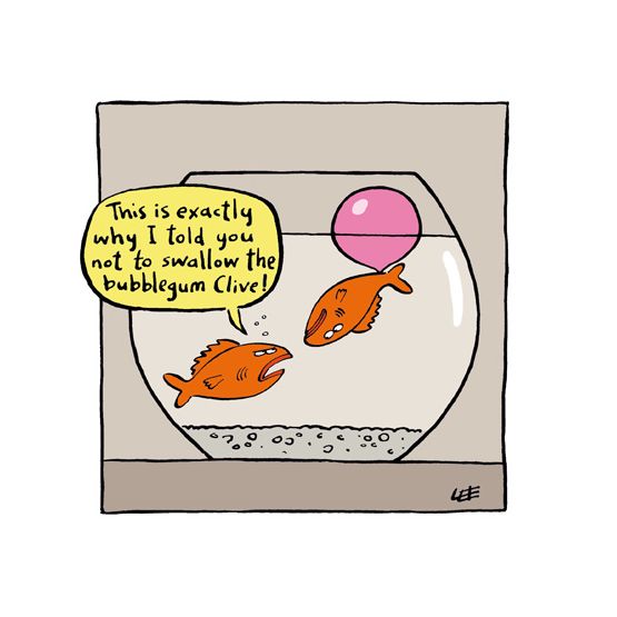 Two Goldfish In A Bowl