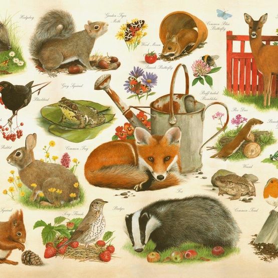 House of Puzzles - Are You In My Garden 1000 Piece Jigsaw Puzzle