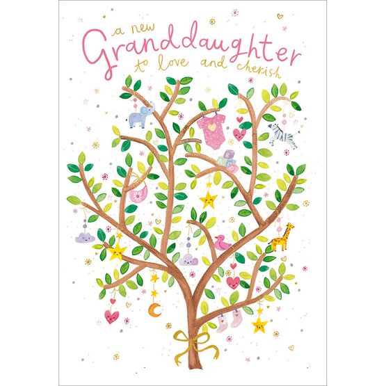 New Baby Granddaughter