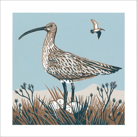 The Eco Friendly Card Co - Curlew on Guard Card