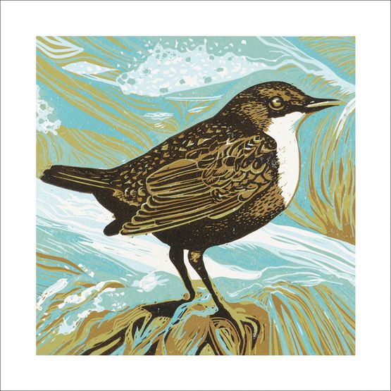 The Eco Friendly Card Co - Dipper Card